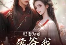 (全文)贬妻为妾，侯爷我不伺候啦(慎如余启)全本免费在线阅读-常青文学