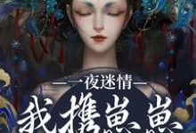 一夜迷情，我携崽崽俘获他推荐完结小说一夜迷情，我携崽崽俘获他(云素予段凌霁)免费小说全本-常青文学