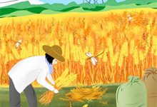 祁同伟不再是农民儿子完整版小说，祁同伟不再是农民儿子祁同伟祁连山试读更新章节-常青文学