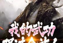 完了！我的武功强过全族人林枫最新完结小说，完了！我的武功强过全族人全本免费在线阅读-常青文学