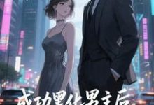 快穿：男主事业心呢，怎么全是恋爱脑推荐完结小说快穿：男主事业心呢，怎么全是恋爱脑(迦扬厄洛斯)免费小说全本-常青文学