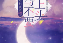 (全文)365，撩：竹马不要太上头完结小说推荐王拾初全本书籍阅读-常青文学