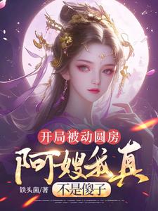 (全文)开局被动圆房，阿嫂我真不是傻子许修年全本免费在线阅读