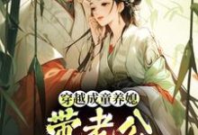 穿越成童养媳,带老公荒年发大财(林十七)小说推荐穿越成童养媳,带老公荒年发大财全章小说阅读-常青文学