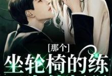 那个坐轮椅的练习生他超强推荐完结小说那个坐轮椅的练习生他超强(江北生)免费小说全本-常青文学