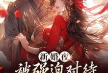 新婚夜被强迫对待，这叫不近女色？完整版小说，新婚夜被强迫对待，这叫不近女色？谢临珩虞听晚试读更新章节-常青文学