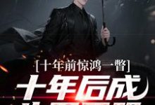 十年前惊鸿一瞥,十年后成生死同盟热门小说排行榜十年前惊鸿一瞥,十年后成生死同盟李飞免费小说全本-常青文学