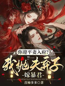 你迎平妻入府？我抛夫弃子嫁暴君（宋锦书）全章小说阅读