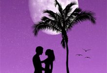 穿成恶毒女配之我成了团宠小说有没有完结版在线？-常青文学