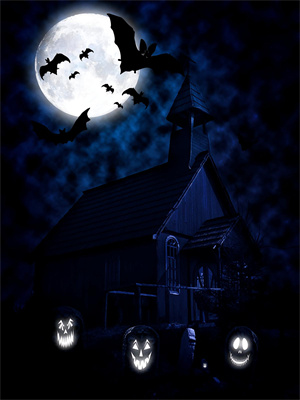 小说《南风未起，故人不归》在线章节阅读