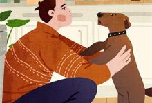 辣妻带灵泉:宠夫养崽一路发小说的所有章节都能在哪里免费读到?-常青文学