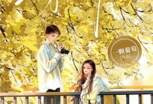 《林深不知云海》小说许云琛裴馥雪章节章节免费在线阅读-常青文学