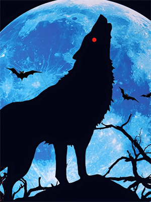 原主妈跑了？我直接开荒种田陈军小说免费阅读