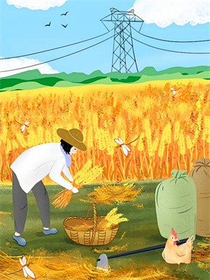 山雨来时雾蒙蒙乔若桑傅云深小说在线章节免费阅读